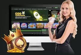 23bet login